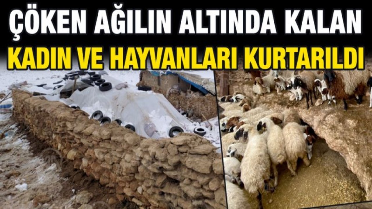 Gaziantep'te çöken ağılın altında kalan kadın ve hayvanları kurtarıldı