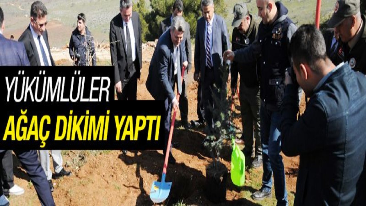 GAZİANTEP DÜLÜKBABA ORMAN ALANI YÜKÜMLÜLER İLE DAHA DA YEŞERECEK