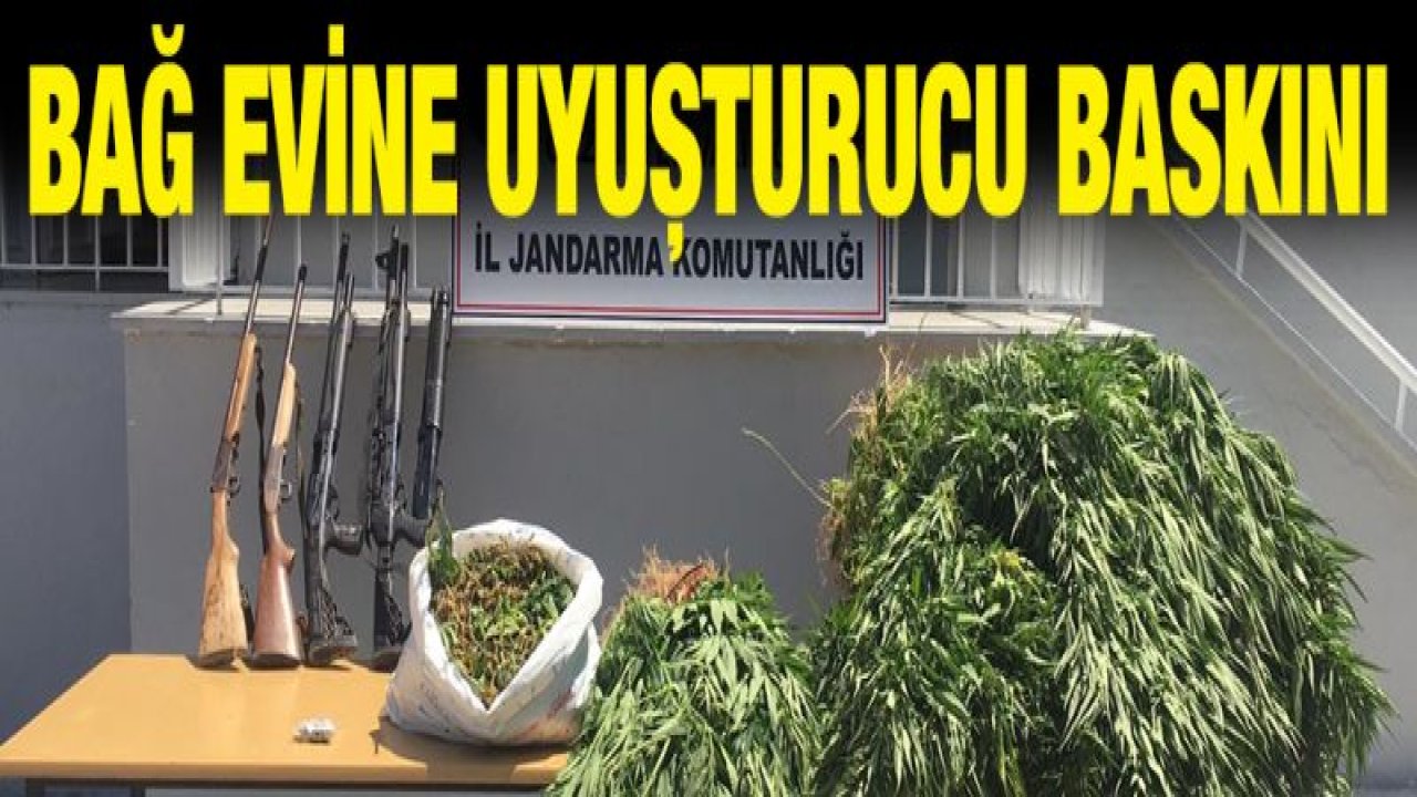 Bağ evine uyuşturucu operasyonu: 1 gözaltı