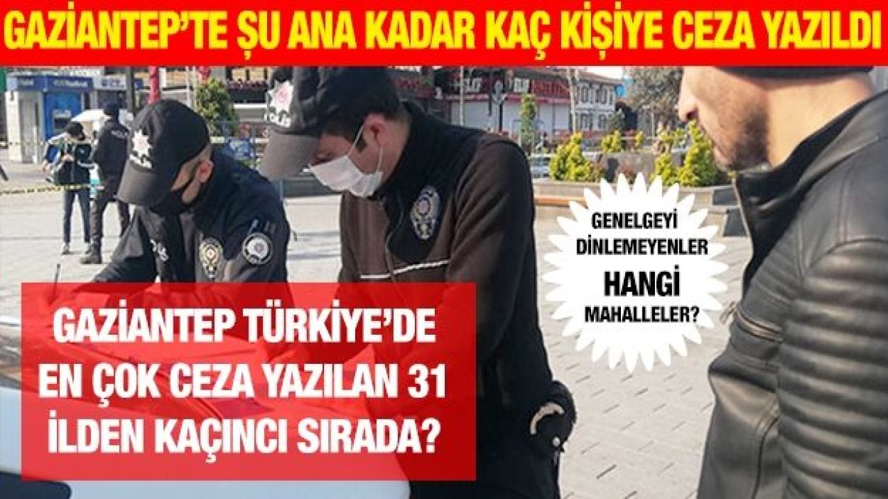 GAZİANTEP TÜRKİYE’DE EN ÇOK  CEZA YAZILAN 31 İLDEN KAÇINCI SIRADA