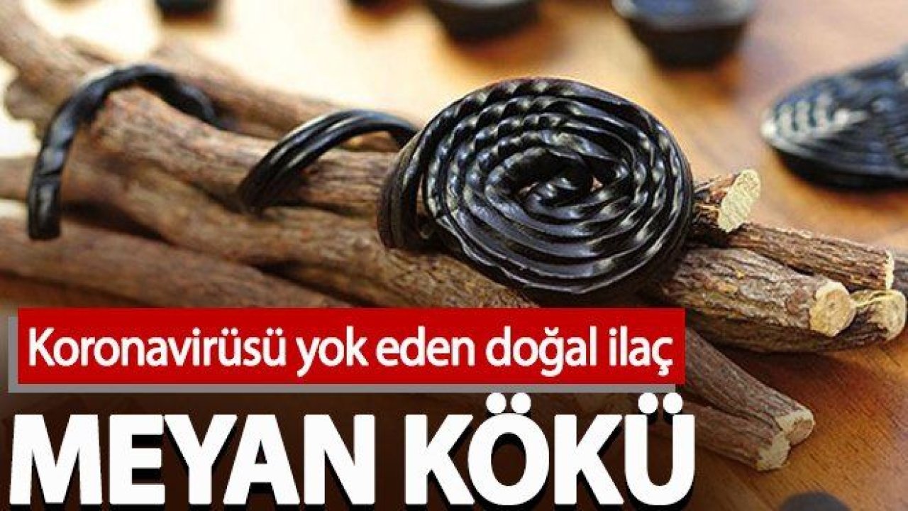 Koronavirüsü yok eden doğal ilaç: Meyan kökü