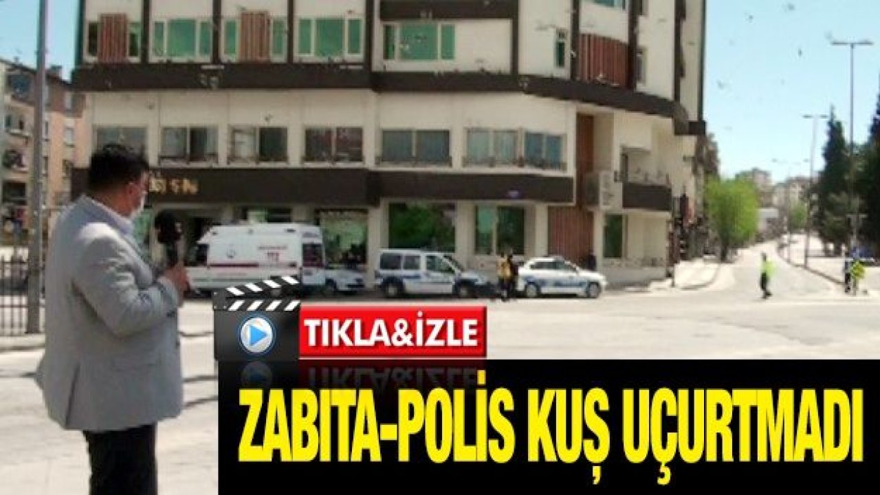 Zabıta-polis kuş uçurtmadı