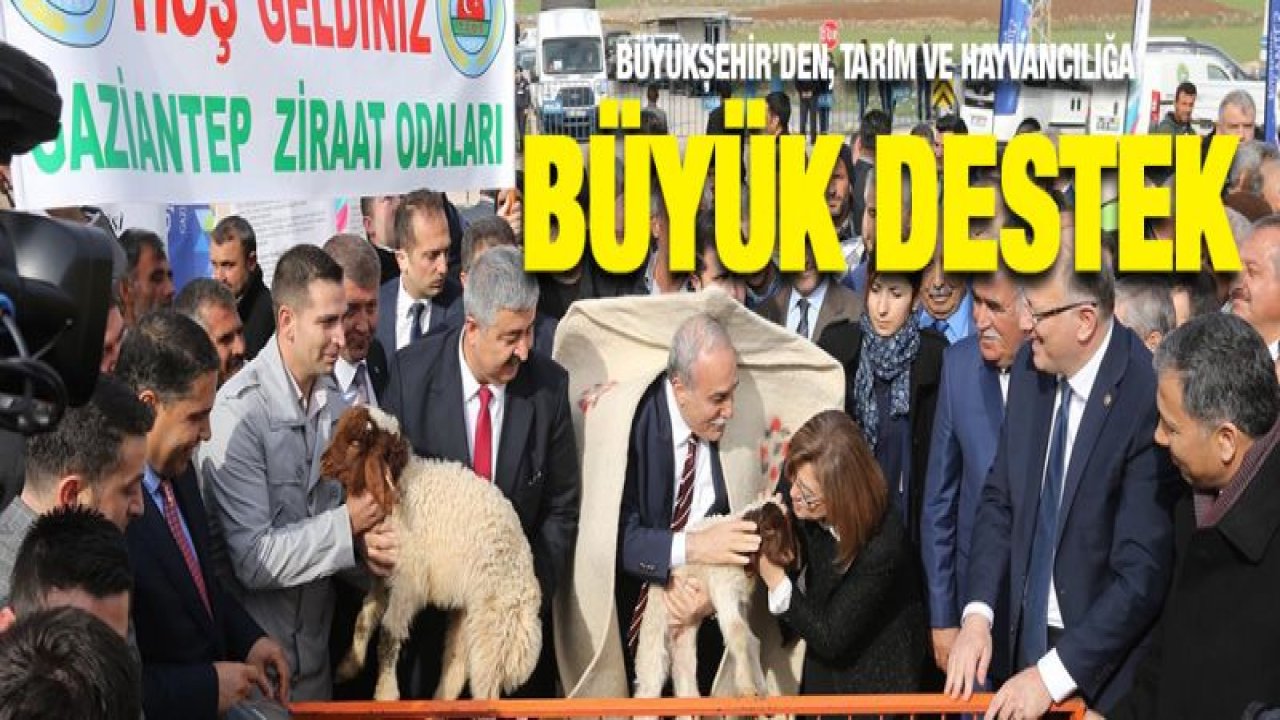 BÜYÜKŞEHİR'DEN, TARIM VE HAYVANCILIĞA BÜYÜK DESTEK