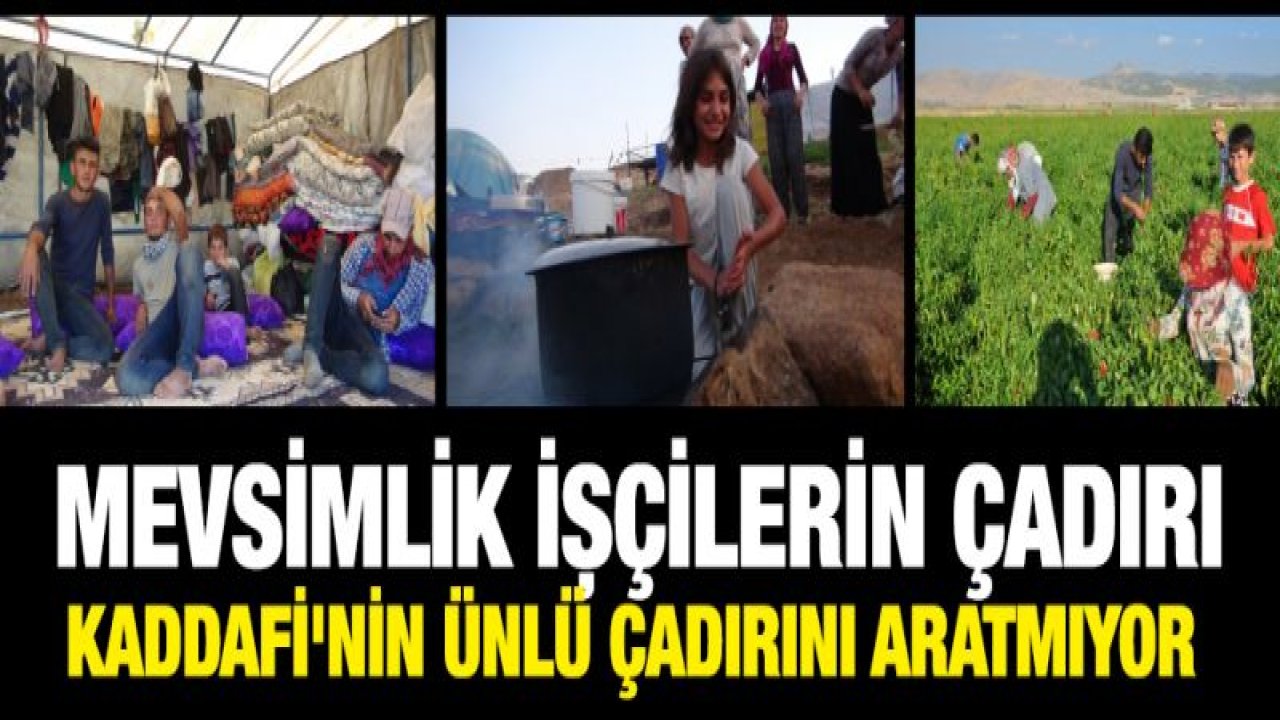 Mevsimlik işçilerin ömürlük çilesi