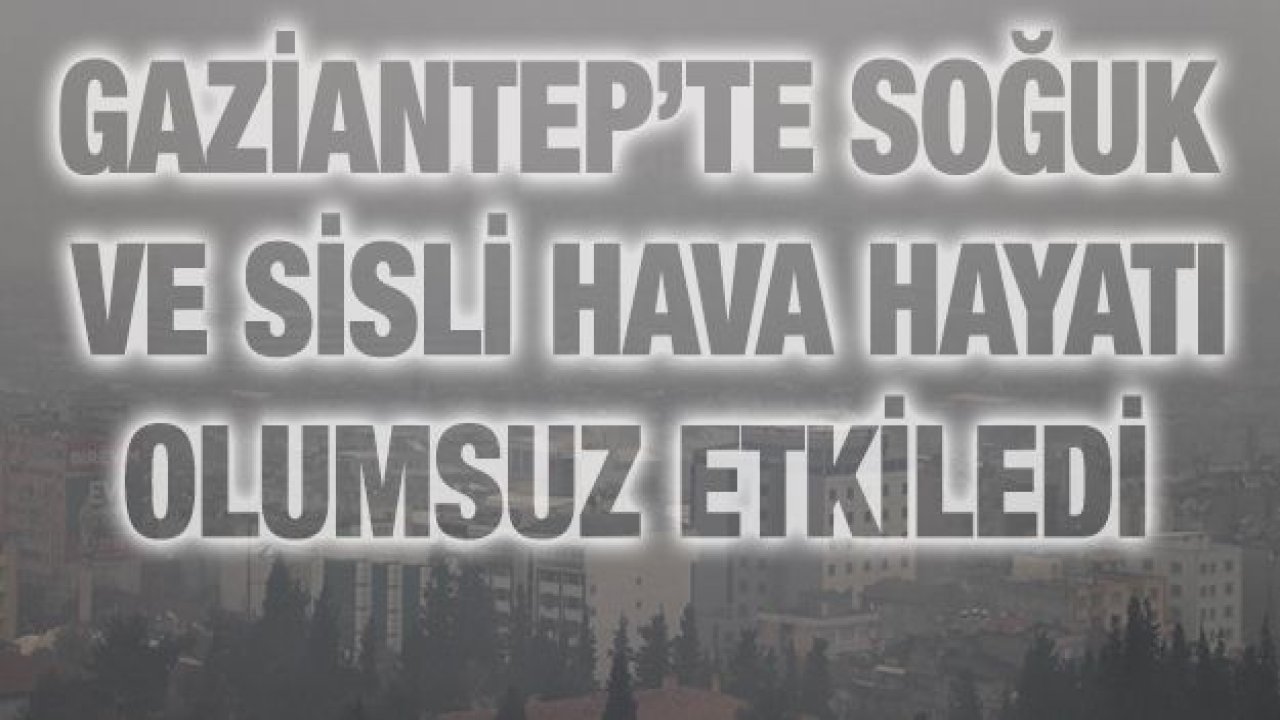 Gaziantep’te soğuk ve sisli hava hayatı olumsuz etkiledi