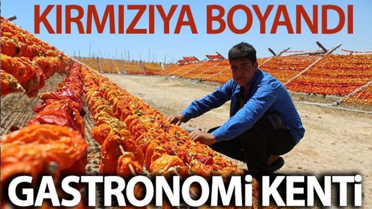 Gastronomi kenti Gaziantep kırmızıya boyandı