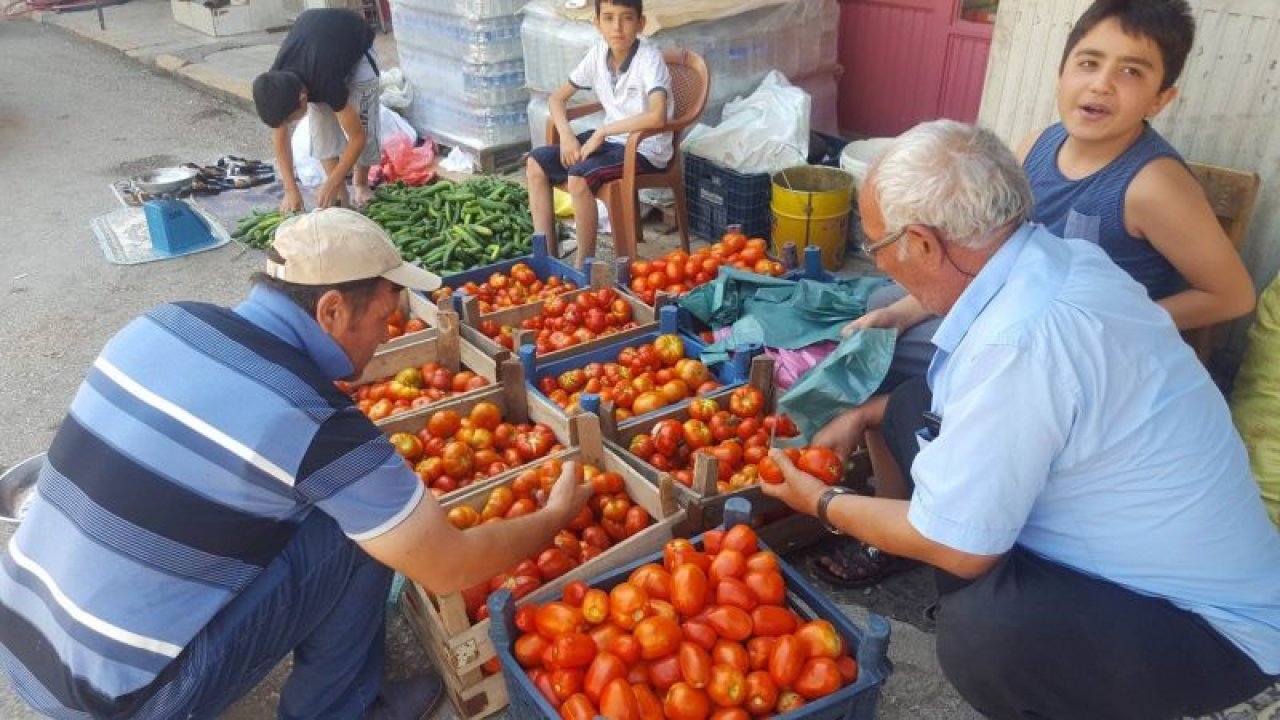 Yavuzeli'de doğal sebzeler beklenen ilgiyi görmüyor