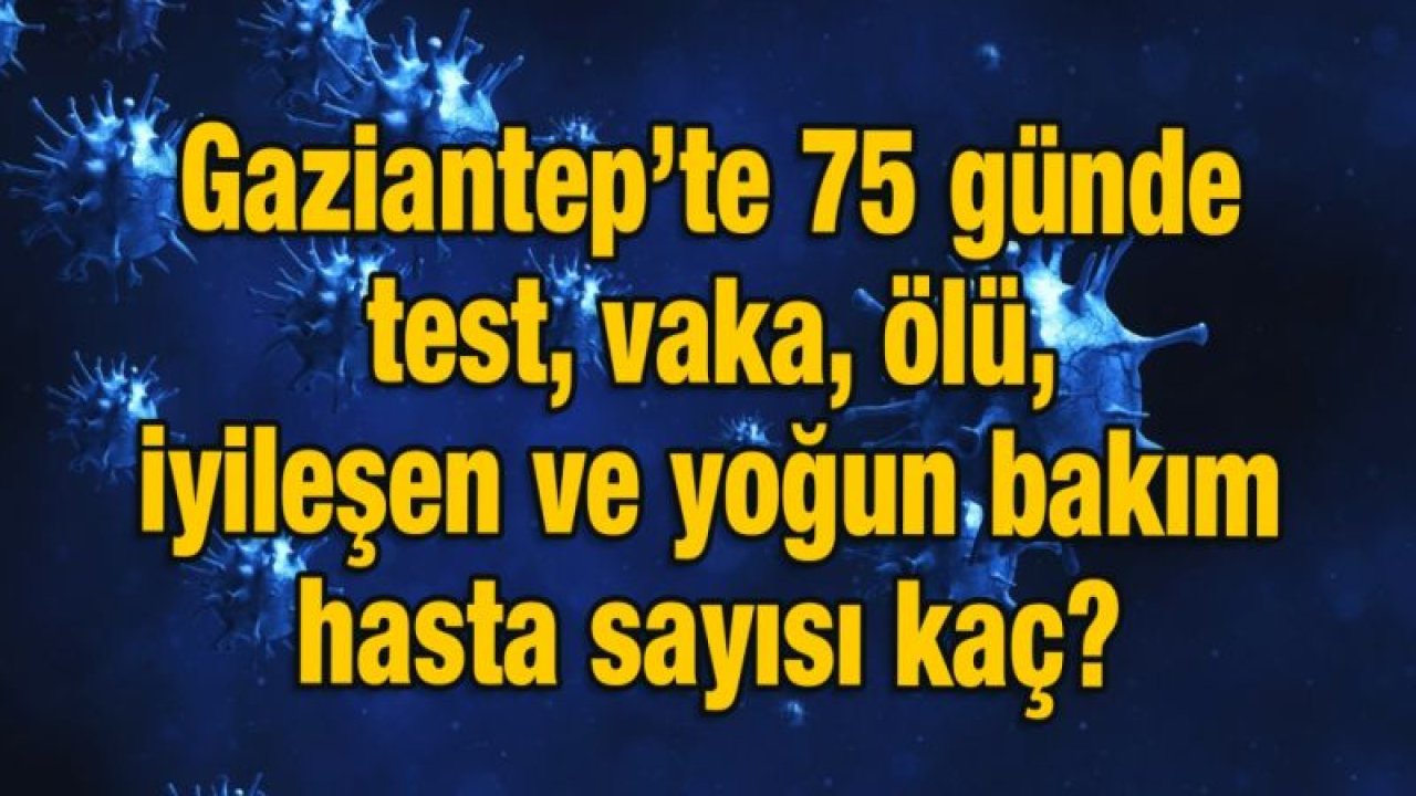 Gaziantep’te 75 günde vaka, ölü, iyileşen ve yoğun bakım hasta ve test sayısı kaç?