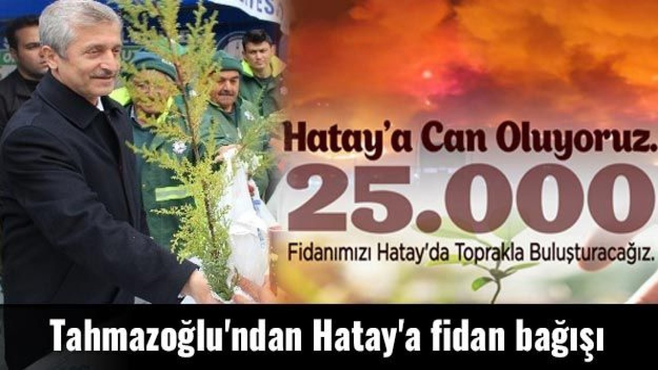 Tahmazoğlu'ndan Hatay'a dev fidan bağışı