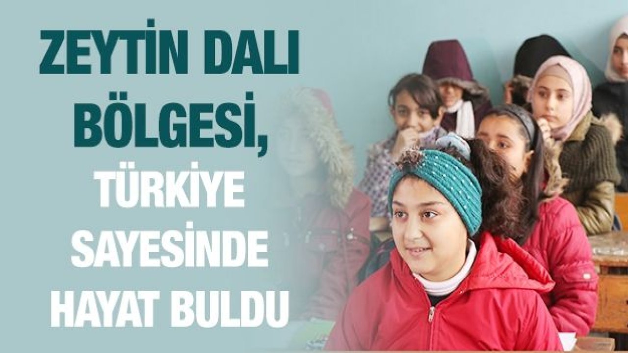 Zeytin Dalı bölgesi, Türkiye sayesinde hayat buldu