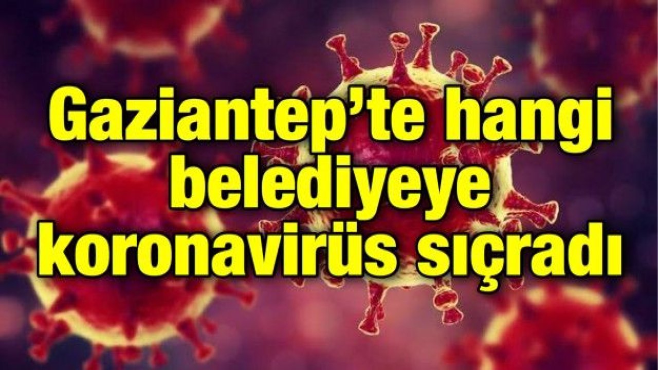 Gaziantep’te hangi belediyeye koronavirüs sıçradı