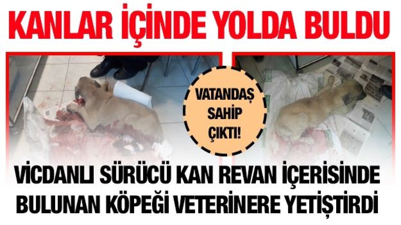 Kanlar içinde yolda buldu