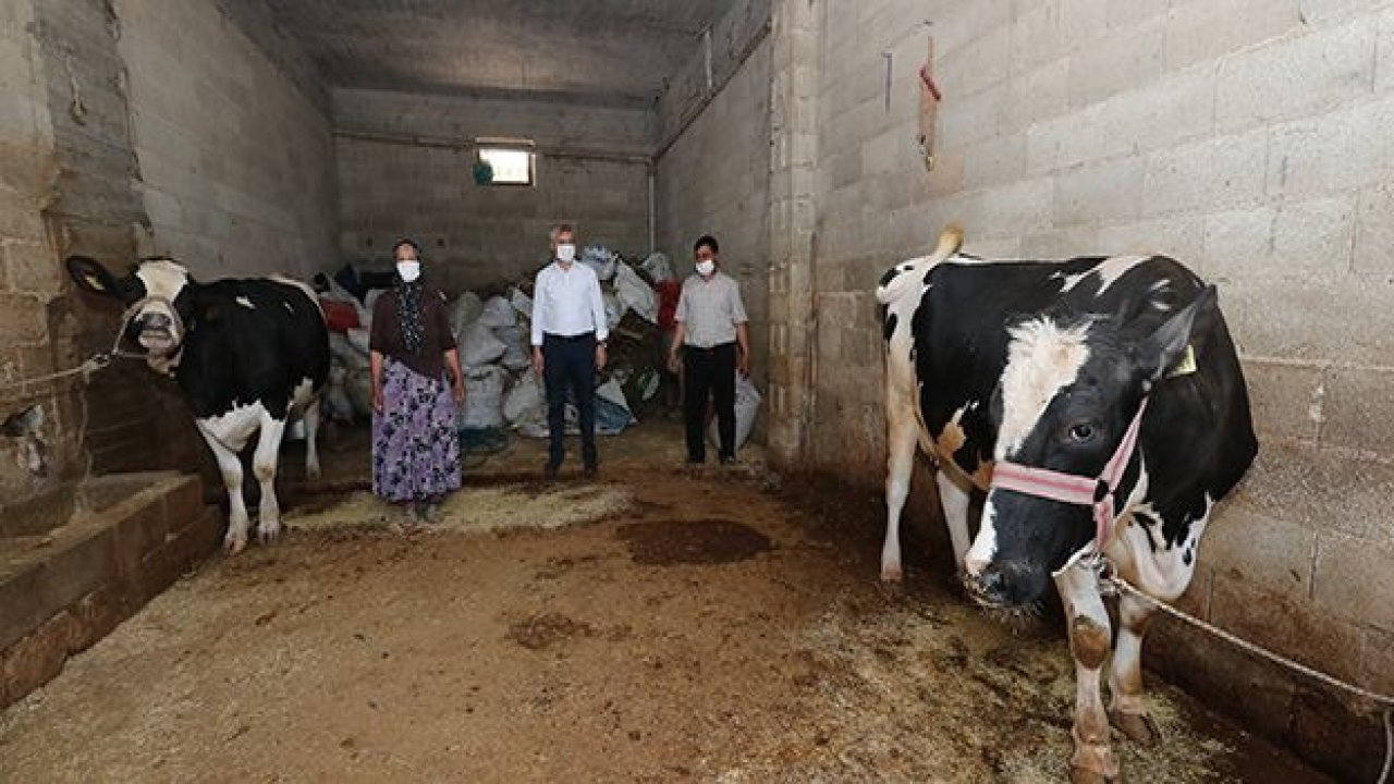 Tahmazoğlu’ndan hayvancılığa tam destek