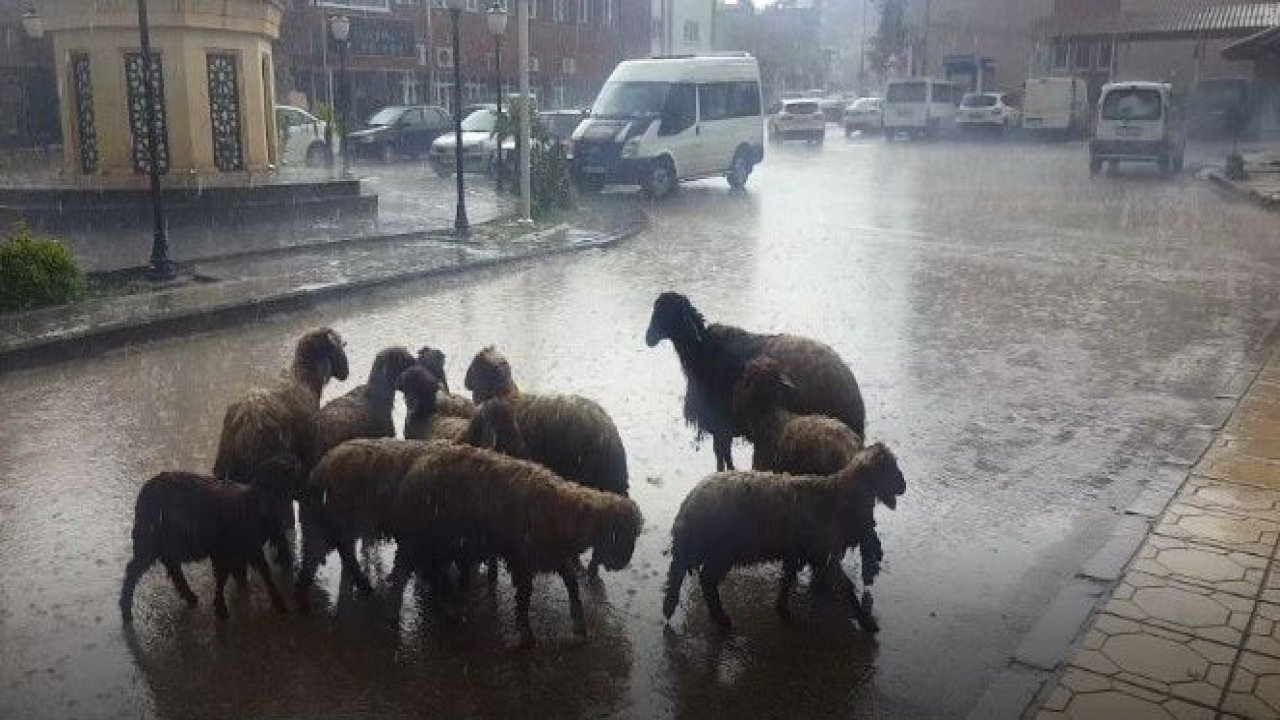 Yavuzeli'ni sağanak vurdu