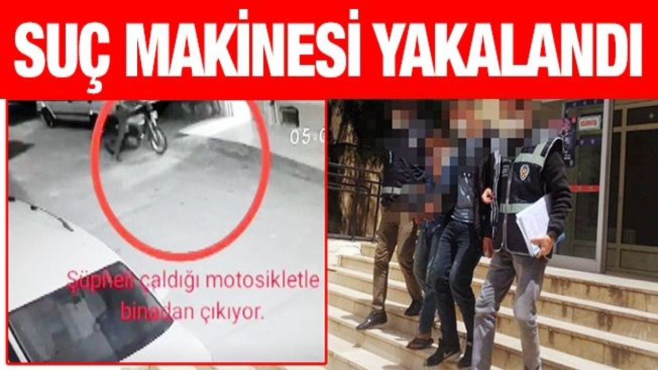 Motosiklet hırsızı suç makinesi yakalandı