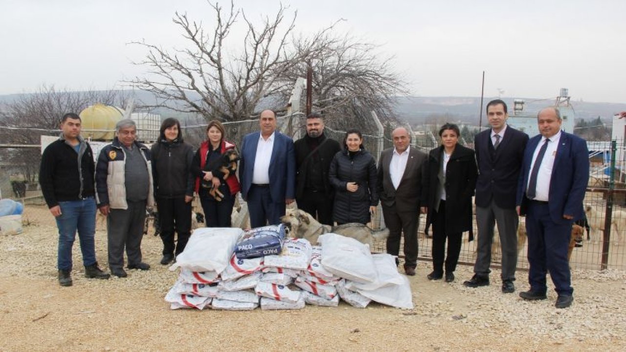 GTB VE CAHİDE DERNEĞİNDEN SOKAK HAYVANLARINA YARDIM