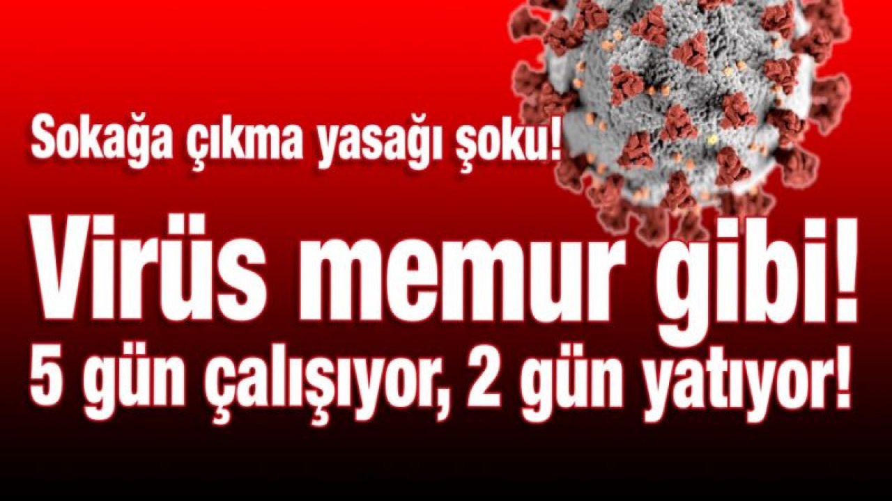 Sokağa çıkma yasağı şoku!  Virüs memur gibi!  5 gün çalışıyor, 2 gün yatıyor!