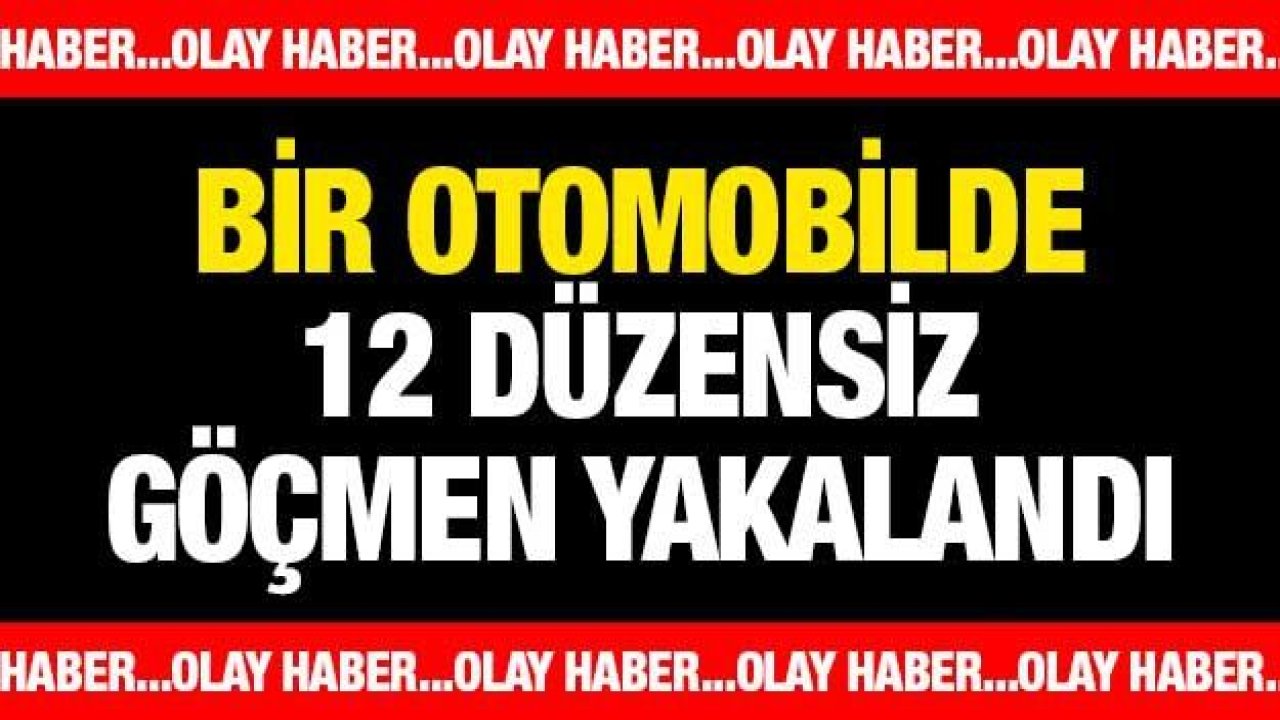 12 düzensiz göçmen yakalandı