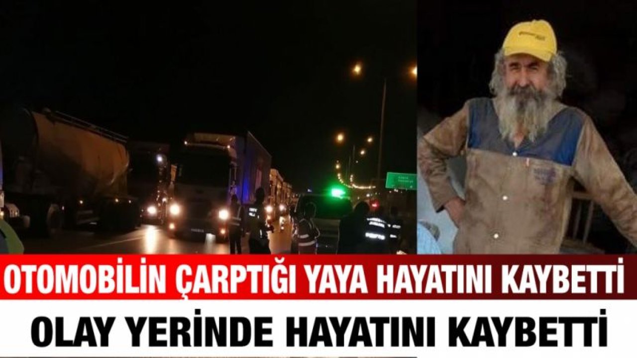 Otomobilin çarptığı yaya hayatını kaybetti