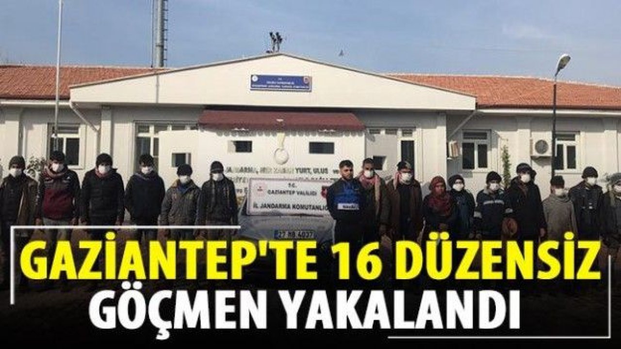 16 düzensiz göçmen yakalandı