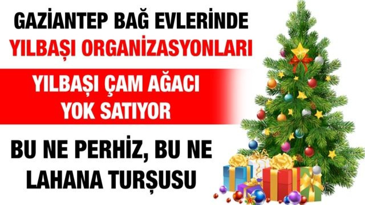 Gaziantep bağ evlerinde yılbaşı organizasyonları... Yılbaşı çam ağacı yok satıyor...  Bu ne Perhiz, Bu ne Lahana Turşusu