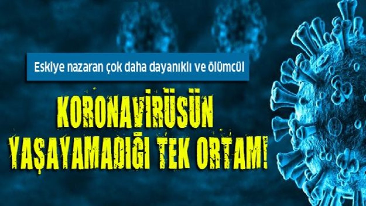 Koronavirüsün yaşayamadığı tek ortam!