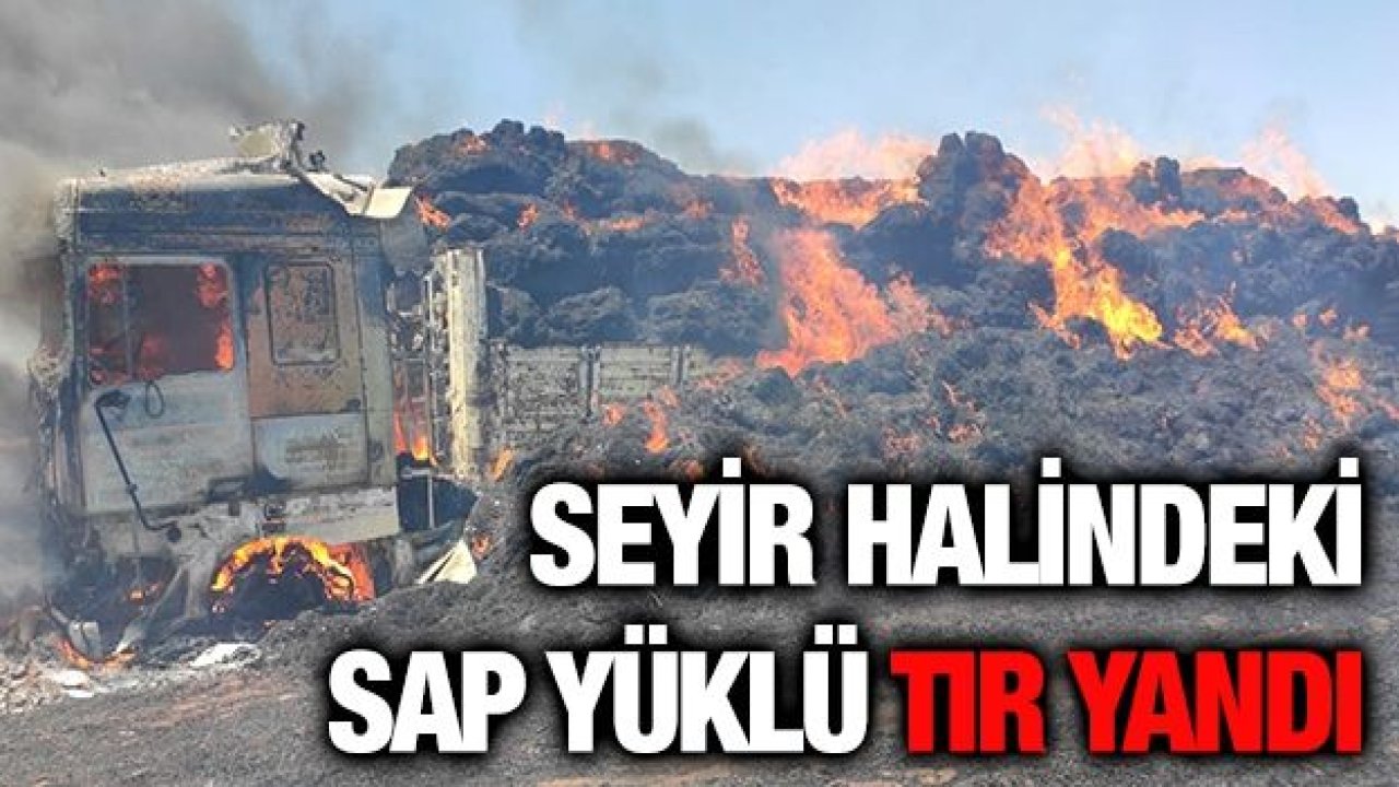 Seyir halindeki sap yüklü tır yandı