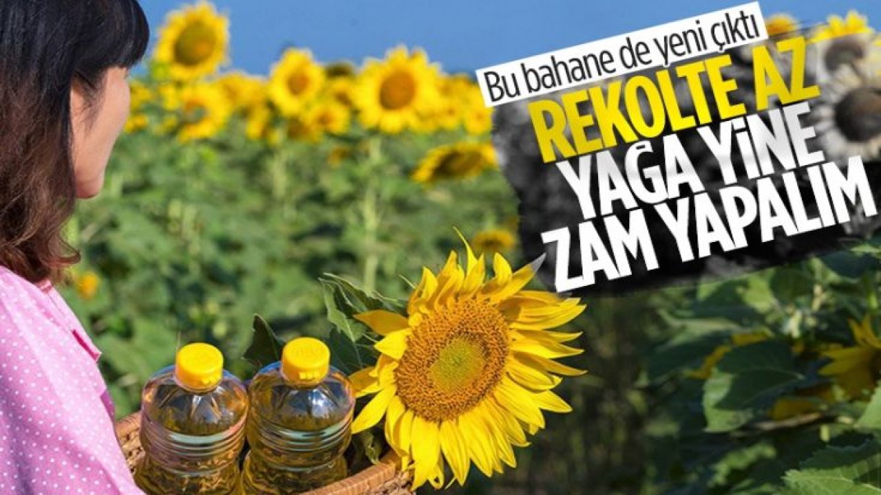 Ayçiçek yağına rekolte zammı