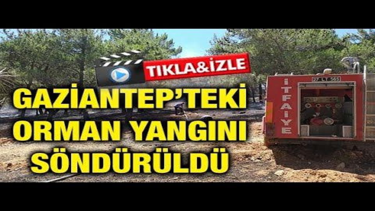 Gaziantep’teki Orman Yangını Söndürüldü