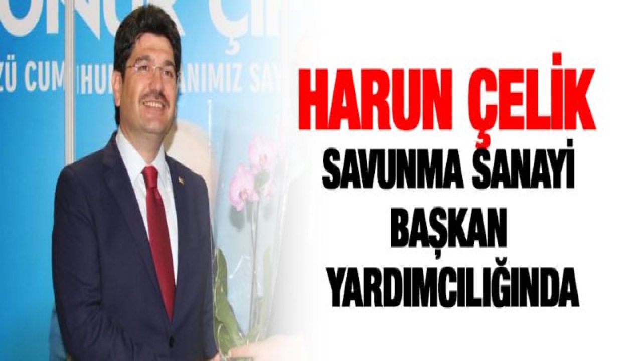 Harun Çelik Savunma Sanayi Başkan Yardımcısı oldu