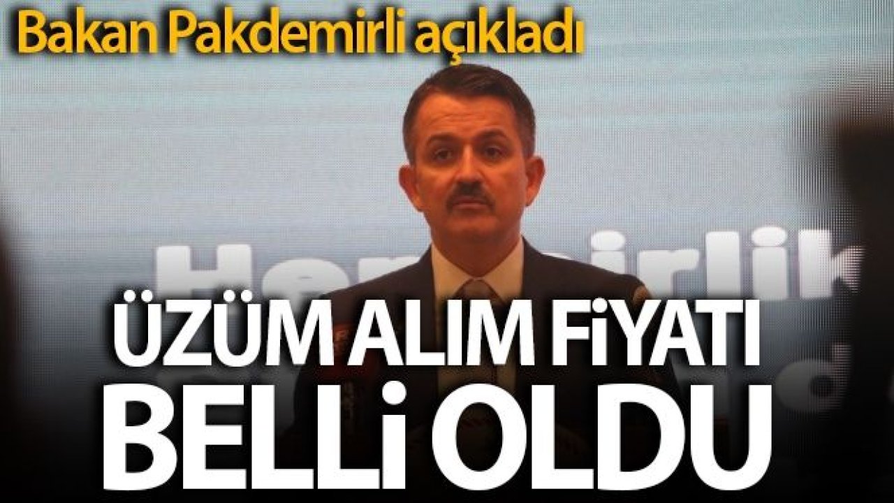 Bakan Bekir Pakdemirli, yeni sezon üzüm alım fiyatını açıkladı