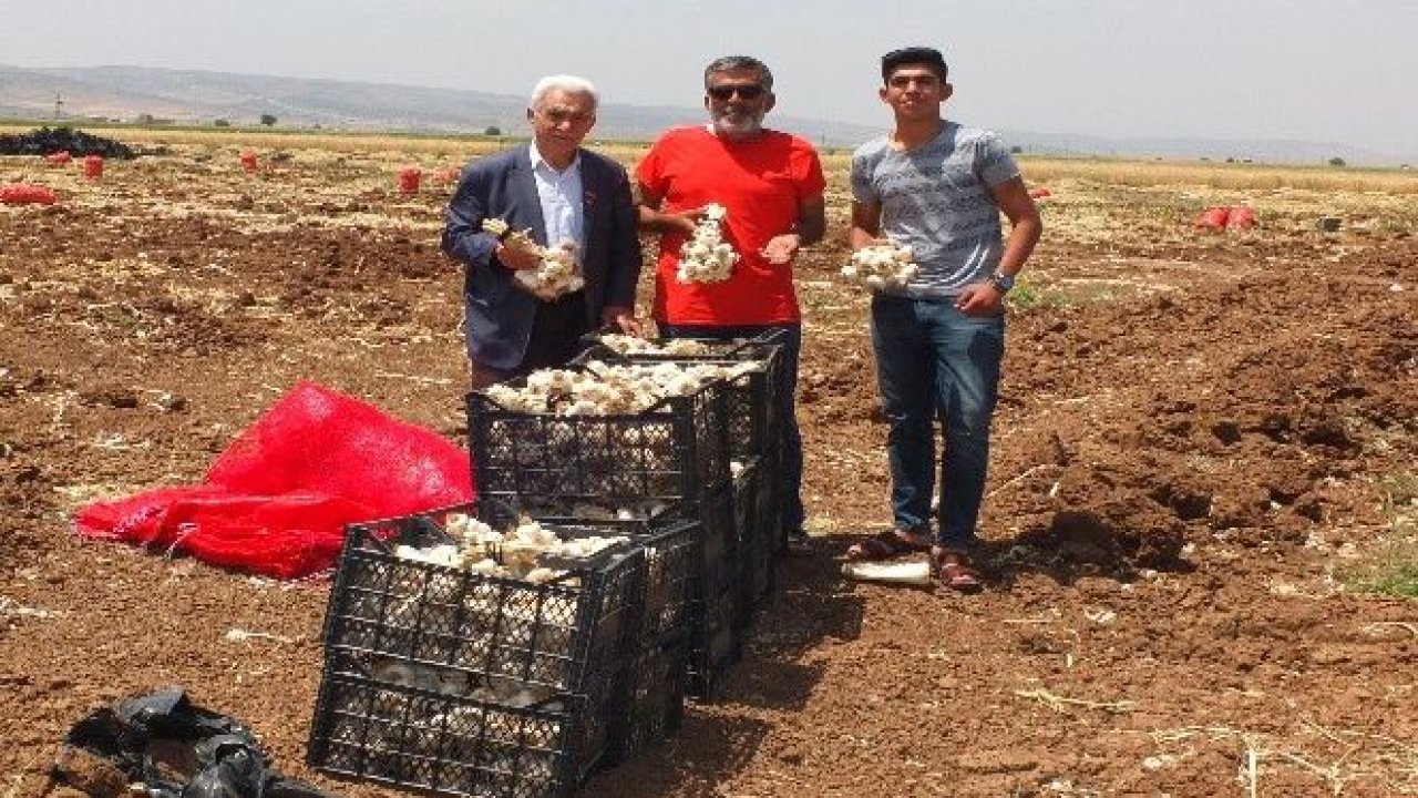 Sarımsaklarını şehit ve gazi ailelerine bağışladı