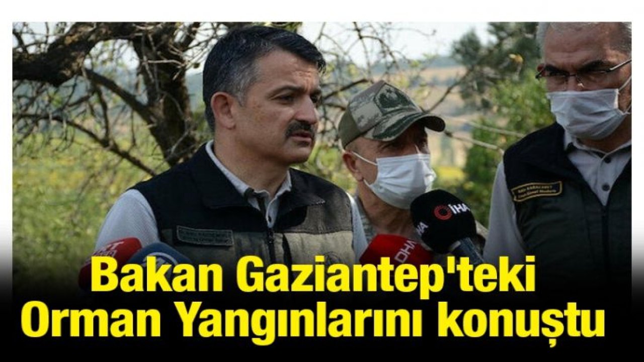 Bakan Gaziantep'teki Orman Yangınlarını konuştu