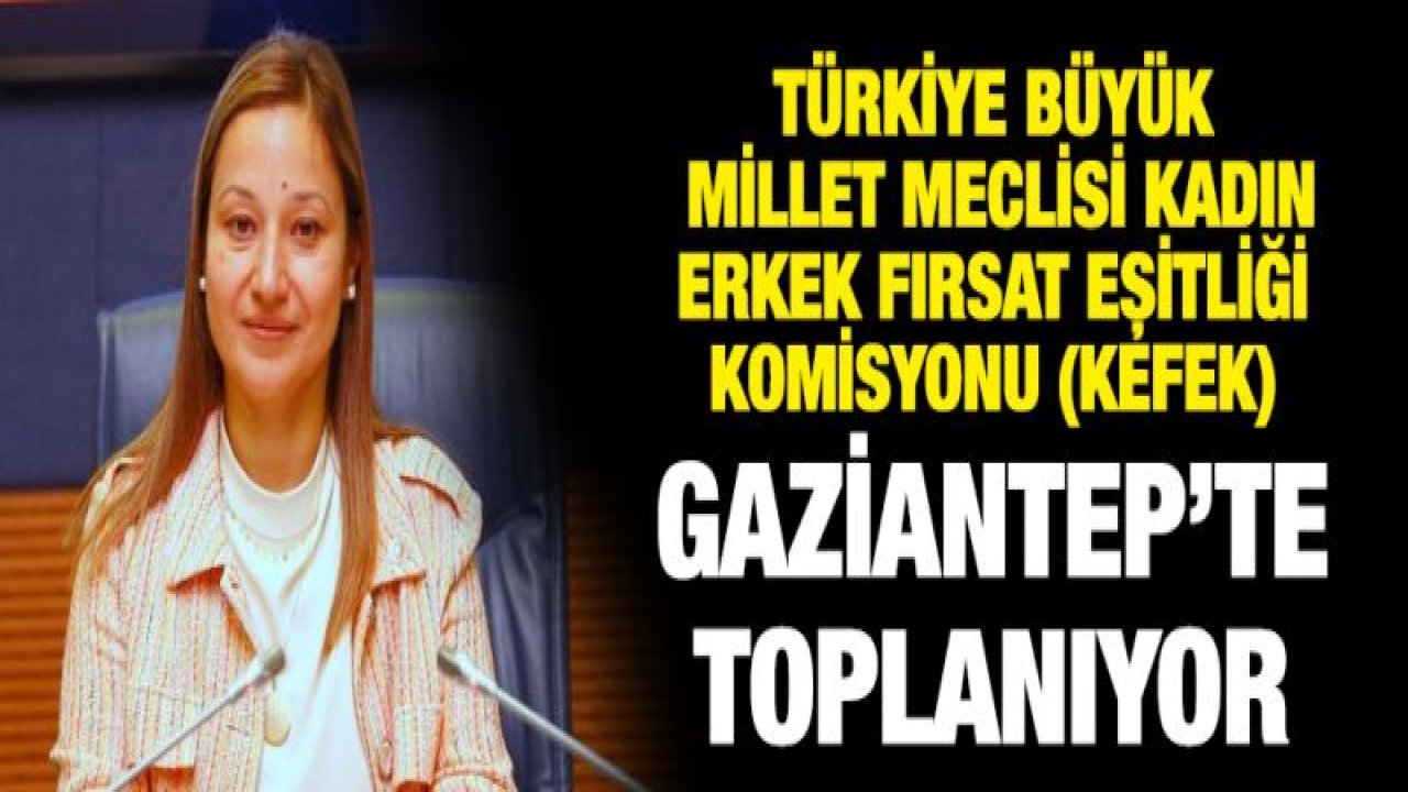 Bakbak, KEFEK milletvekilleriyle Gaziantep'te