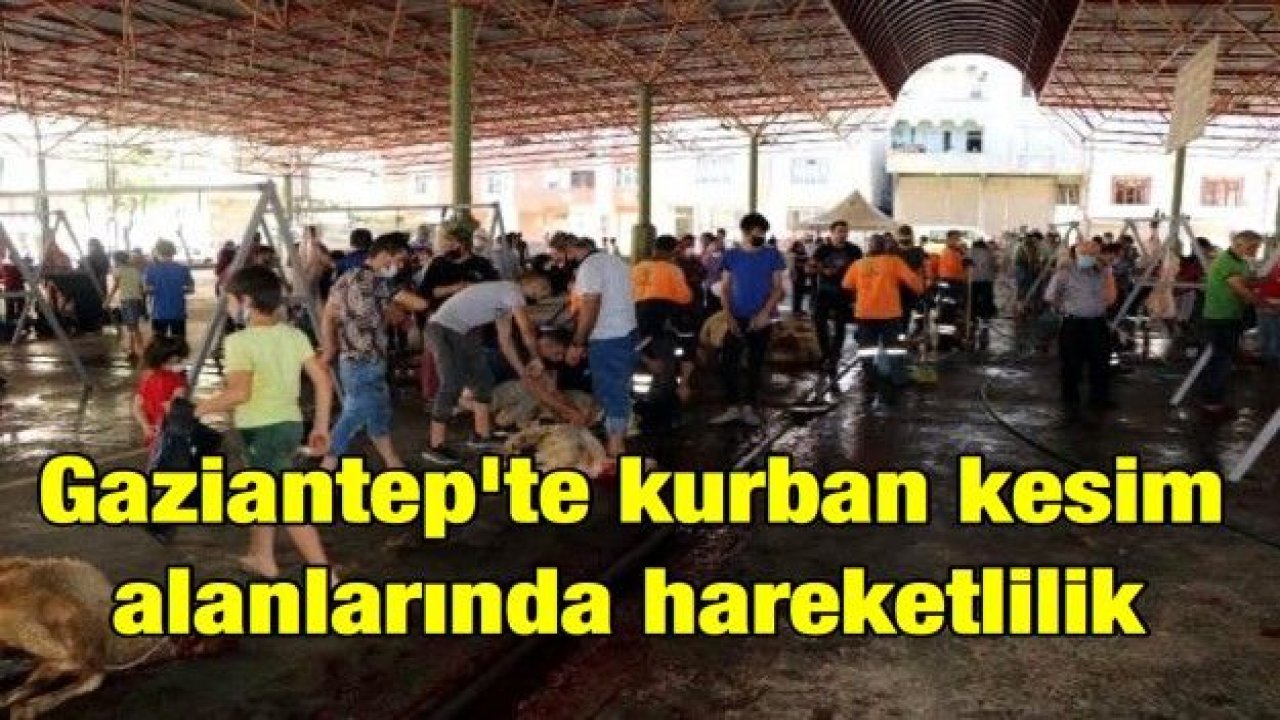 Gaziantep'te kurban kesim alanlarında hareketlilik