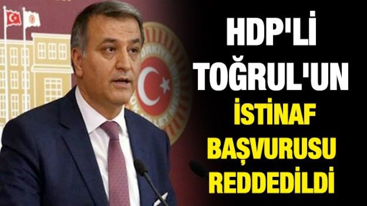 HDP'li Toğrul'un istinaf başvurusu reddedildi