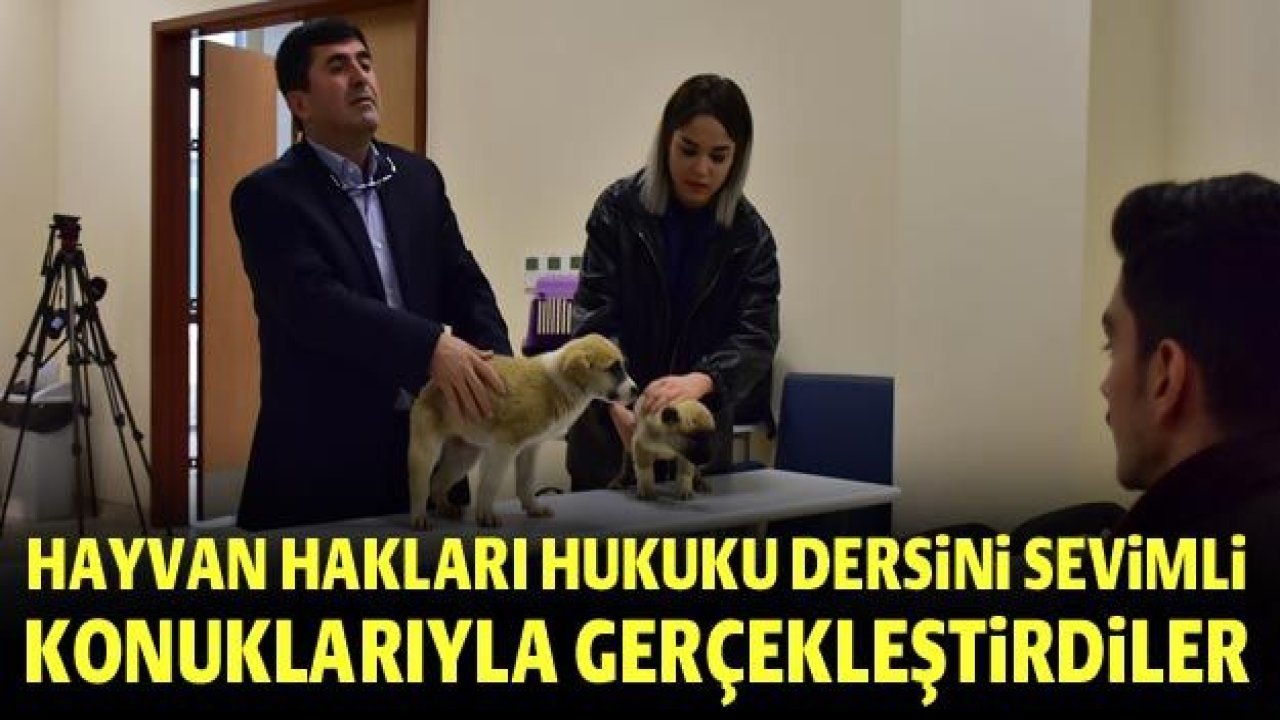 Kalyoncudan 'FARKINDALIK' Hayvan Hakları Hukuku dersini sevimli konuklarıyla gerçekleştirdiler