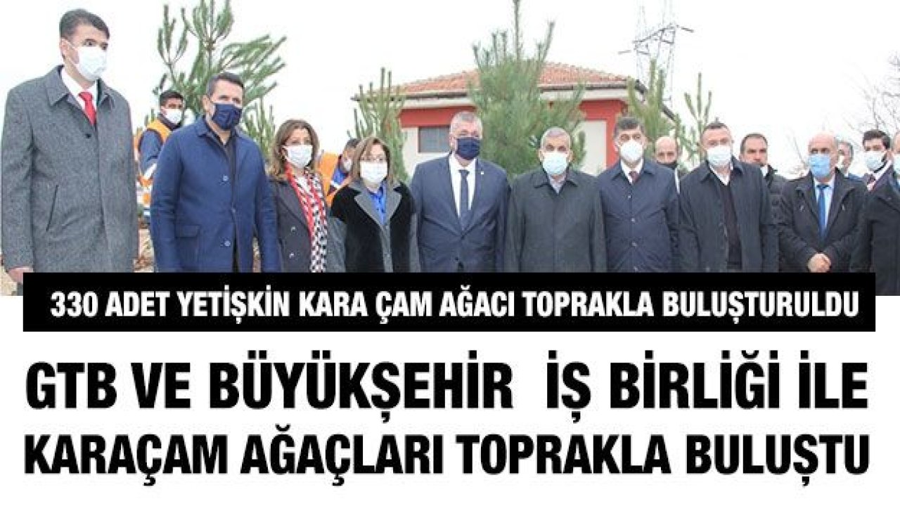 GTB ve Büyükşehir Belediyesi İş Birliği İle Karaçam Ağaçları Toprakla Buluşturuldu