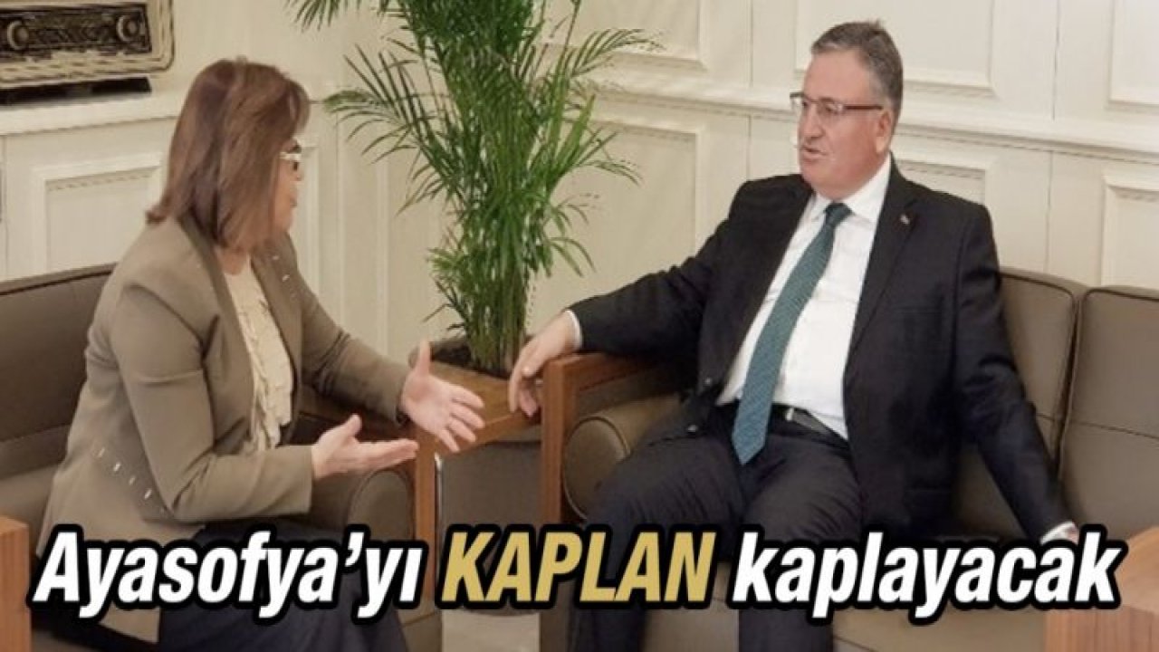 Ayasofyayı KAPLAN kaplayacak