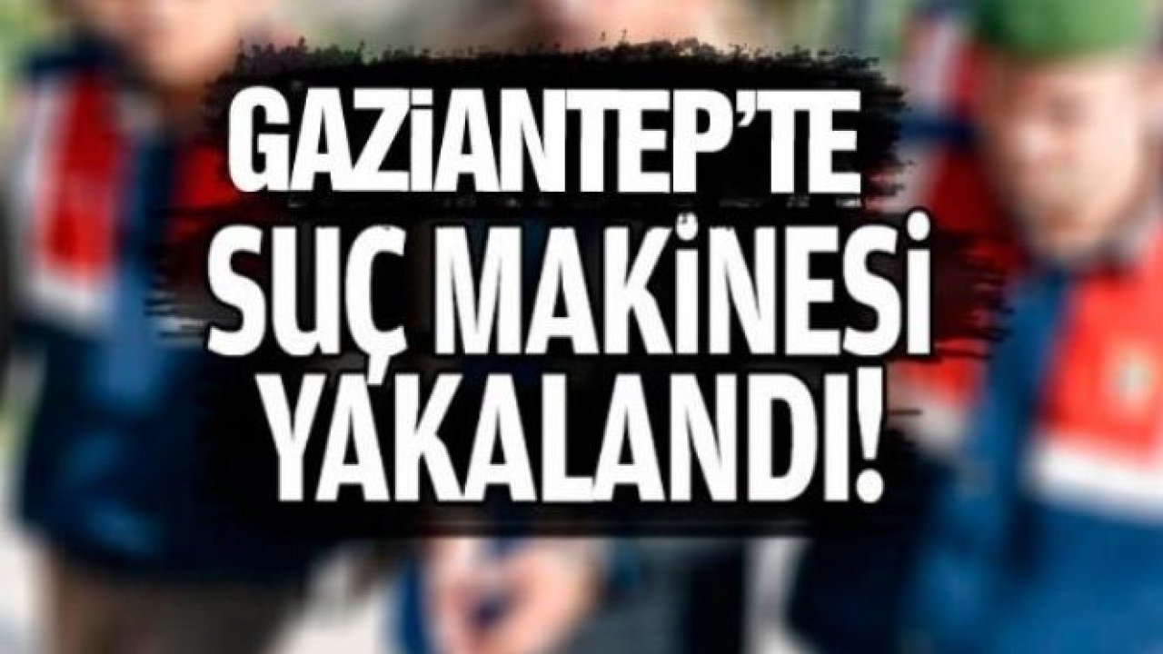 Suç makinesi yakalandı