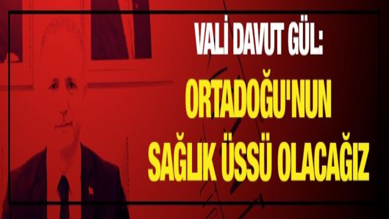 Vali Gül: Ortadoğu'nun sağlık üssü olacağız