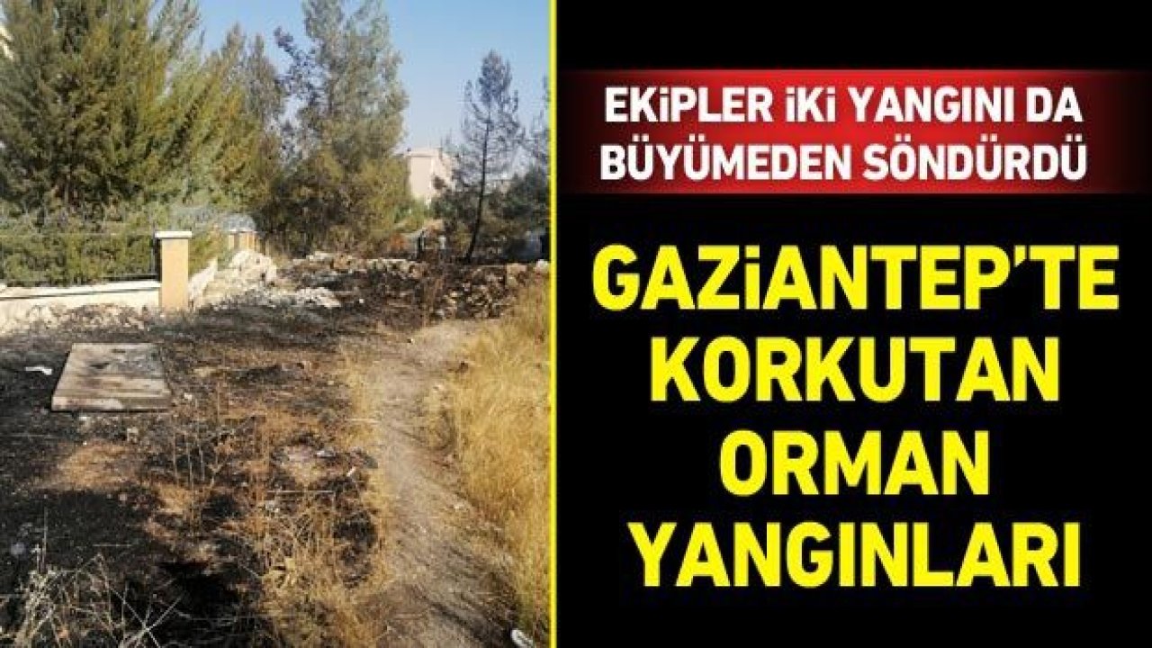 Gaziantep'te korkutan orman yangınları