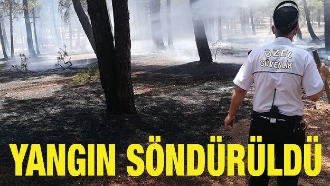 Örtü yangını ağaçlara sıçramadan söndürüldü