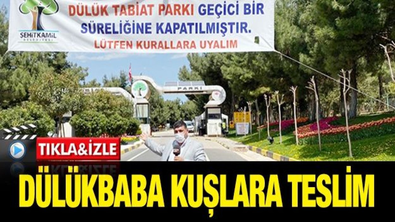 Dülükbaba kuşlara teslim