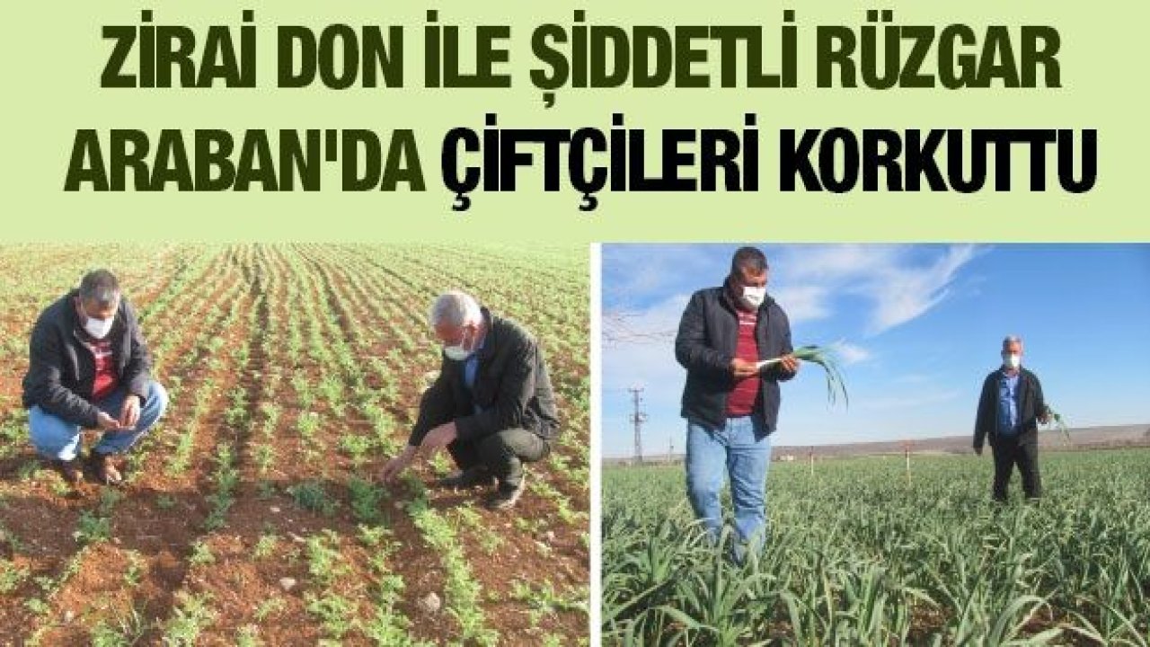 Zirai don ile şiddetli rüzgar Araban'da çiftçileri korkuttu