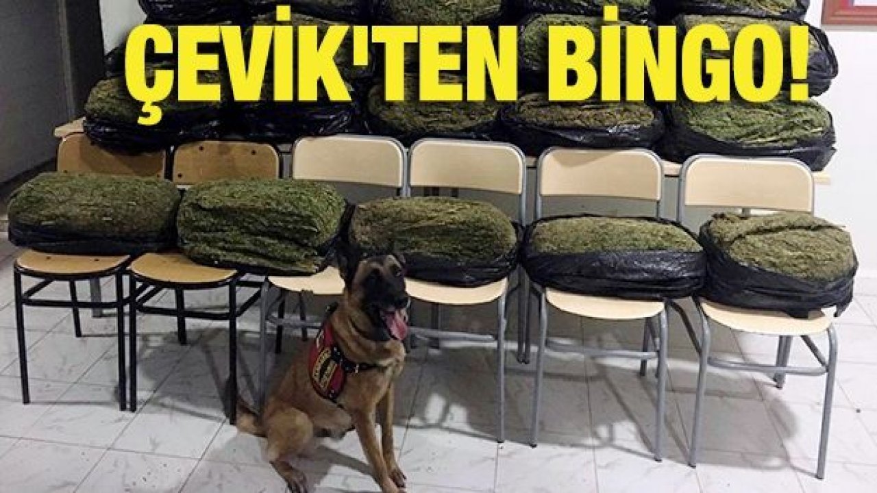 Çevik'ten bingo