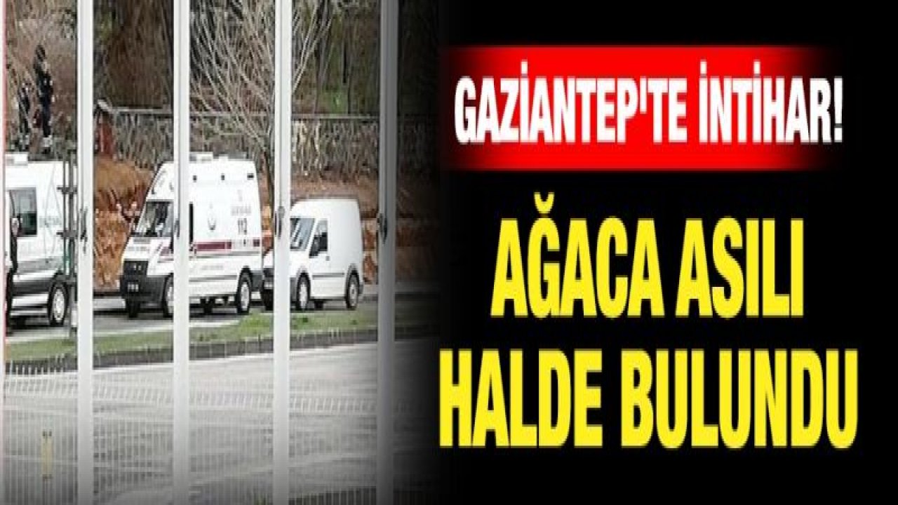 Gaziantep'te intihar! Ağaca asılı halde bulundu