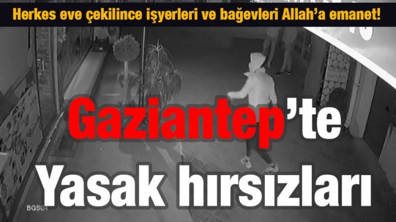 Gaziantep’te Yasak hırsızları    Herkes eve çekilince işyerleri ve bağevleri Allah’a emanet!