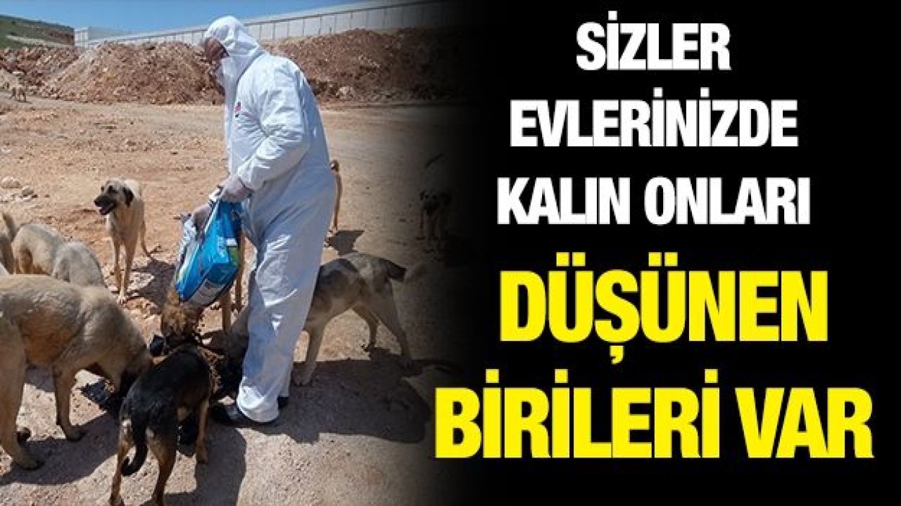 SİZLER EVLERİNİZDE KALIN ONLARI DÜŞÜNEN BİRİLERİ VAR