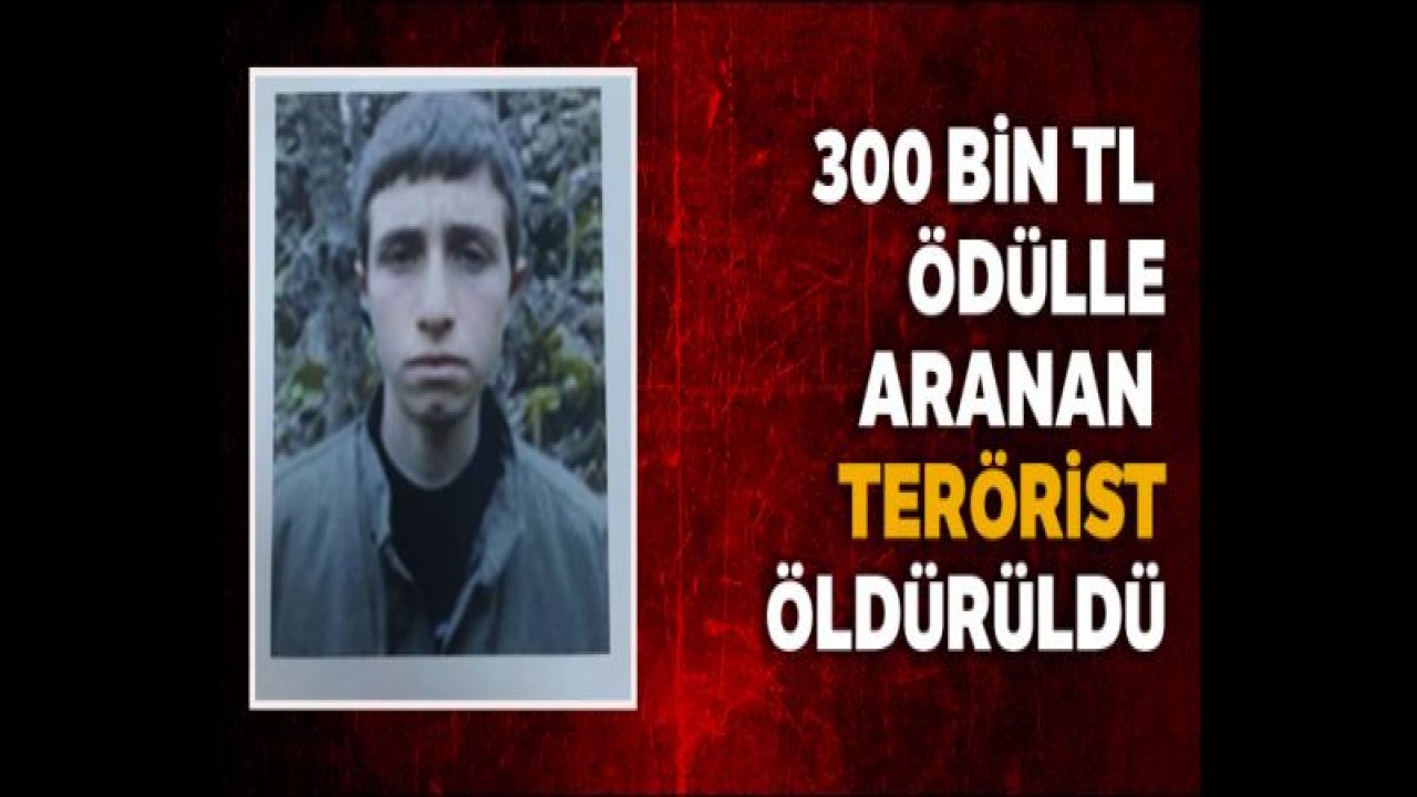 300 bin TL ödülle aranan terörist öldürüldü